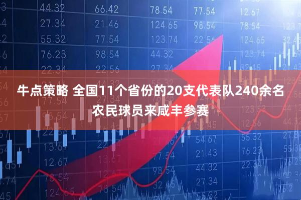牛点策略 全国11个省份的20支代表队240余名农民球员来咸丰参赛