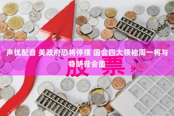 声优配音 美政府恐将停摆 国会四大领袖周一将与特朗普会面
