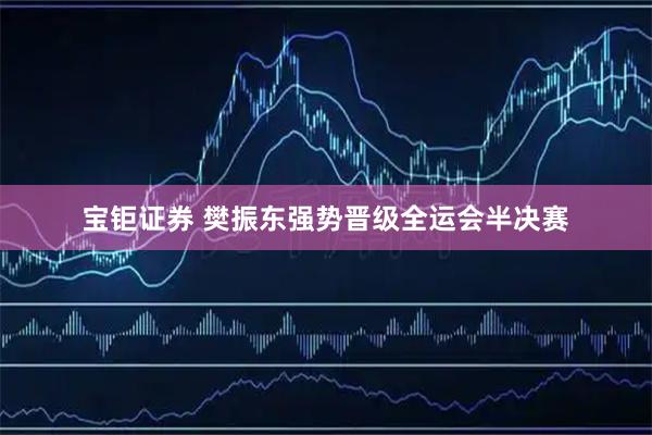 宝钜证券 樊振东强势晋级全运会半决赛