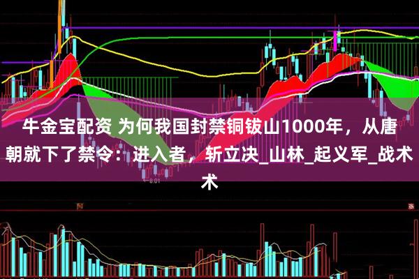 牛金宝配资 为何我国封禁铜钹山1000年,从唐朝就下了禁令:进入者,斩立决_山林_起义军_战术